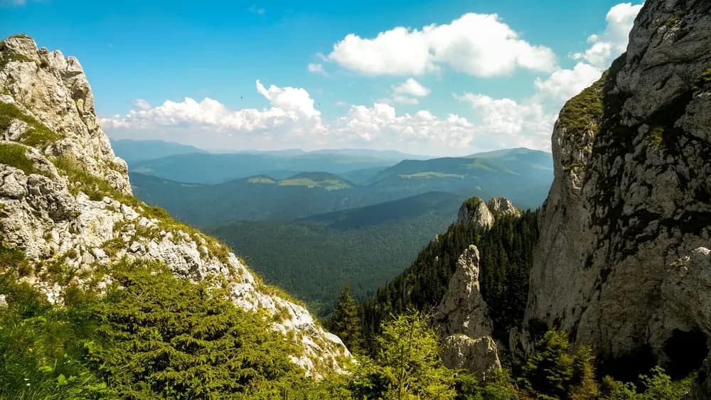 Carpathian trail above Brașov